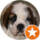 Markus S. profile picture